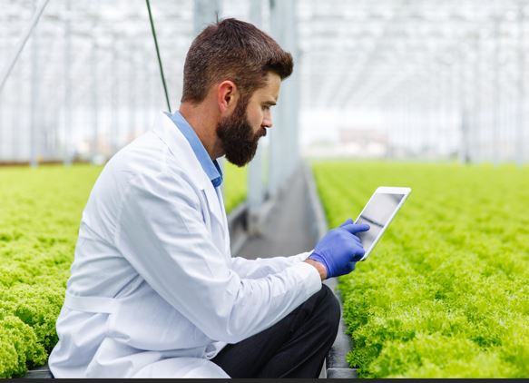 Agriculture erp software